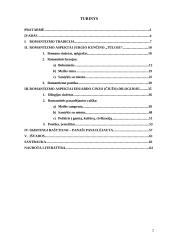 Romantizmo pėdsakai Jurgio Kunčino „Tūla“ ir Eduardo Cinzo „Raudonojo arklio vasara“, „Trys liūdesio dienos“ romanuose 2 puslapis
