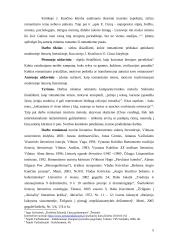 Romantizmo pėdsakai Jurgio Kunčino „Tūla“ ir Eduardo Cinzo „Raudonojo arklio vasara“, „Trys liūdesio dienos“ romanuose 5 puslapis