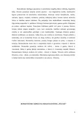 Romantizmo pėdsakai Jurgio Kunčino „Tūla“ ir Eduardo Cinzo „Raudonojo arklio vasara“, „Trys liūdesio dienos“ romanuose 9 puslapis