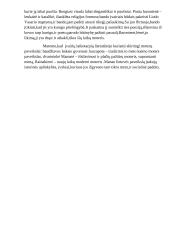 Koks lietuvės paveikslas kuriamas įvairių laikotarpių literatūroje? 3 puslapis