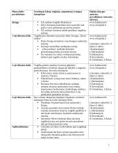 Literatūra - tragiškos patirties liudijimas 2 puslapis