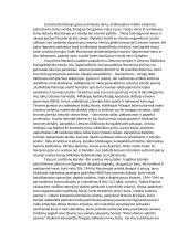 Literatūra padeda žmogui pažinti savo šalies istoriją 4 puslapis
