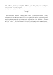 Kintantys žmogaus ir gamtos santykiai lietuvių literatūroje 4 puslapis