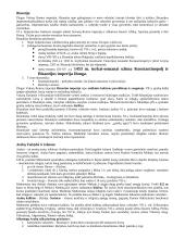 Istorijos teorija. Nuo Krikščionybės atsiradimo iki XVI a. 2 puslapis