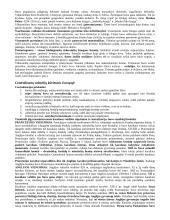 Istorijos teorija. Nuo Krikščionybės atsiradimo iki XVI a. 11 puslapis