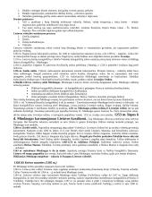 Istorijos teorija. Nuo Krikščionybės atsiradimo iki XVI a. 13 puslapis