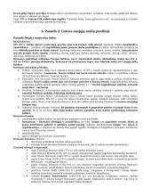 Istorijos teorija. Nuo Krikščionybės atsiradimo iki XVI a. 19 puslapis