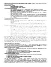 Istorijos teorija. Nuo Krikščionybės atsiradimo iki XVI a. 20 puslapis