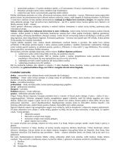 Istorijos teorija. Nuo Krikščionybės atsiradimo iki XVI a. 3 puslapis