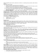 Istorijos teorija. Nuo Krikščionybės atsiradimo iki XVI a. 6 puslapis