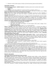 Istorijos teorija. Nuo Krikščionybės atsiradimo iki XVI a. 7 puslapis