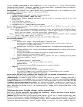 Istorijos teorija. Nuo Krikščionybės atsiradimo iki XVI a. 9 puslapis