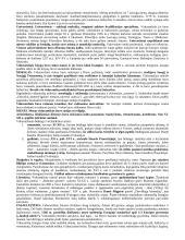 Istorijos teorija. Nuo Krikščionybės atsiradimo iki XVI a. 10 puslapis