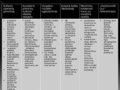 Lietuvos kultūra ir visuomenė šaltojo karo metais ir atkūrus nepriklausomybę 3 puslapis