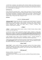 Literatūros kurso kartojimas 15 puslapis