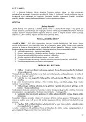 Literatūros kurso kartojimas 17 puslapis