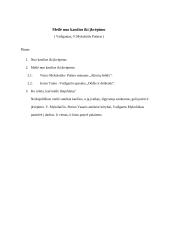 Meilė nuo kančios iki įkvėpimo 3 puslapis