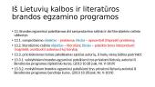 Didžiausios daromos klaidos lietuvių kalbos ir literatūros brandos egzamine  3 puslapis