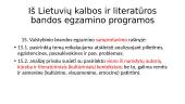 Didžiausios daromos klaidos lietuvių kalbos ir literatūros brandos egzamine  4 puslapis