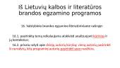 Didžiausios daromos klaidos lietuvių kalbos ir literatūros brandos egzamine  5 puslapis