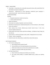 Tautinių mitų dekonstrukcija Mariaus Ivaškevičiaus pjesėje "Madagaskaras" 2 puslapis