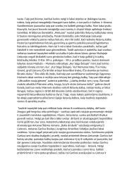 Tautinės tapatybės samprata ir jos apraiškos lietuvių literatūroje 2 puslapis