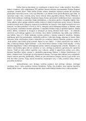 Tėvų ir vaikų santykiai lietuvių literatūroje (Biliūnas, Savickis, Ragana) 2 puslapis