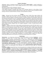 Sociologija ir sociologiniai tyrimai 12 puslapis