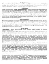 Sociologija ir sociologiniai tyrimai 3 puslapis