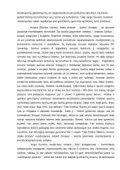 „Kitoks“ žmogus lietuvių literatūroje 2 puslapis