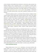 Lietuvių kalbos konspektas 2 puslapis