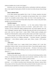 Lietuvių kalbos konspektas 16 puslapis