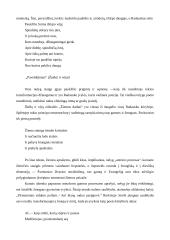 Lietuvių kalbos konspektas 19 puslapis