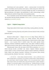 Lietuvių kalbos konspektas 4 puslapis