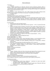 Pilnas pasiruošimas lietuvių kalbos egzaminui