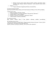 Pilnas pasiruošimas lietuvių kalbos egzaminui 2 puslapis