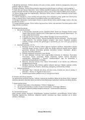 Pilnas pasiruošimas lietuvių kalbos egzaminui 11 puslapis