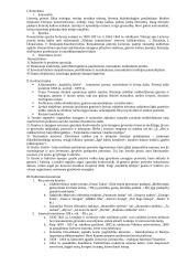 Pilnas pasiruošimas lietuvių kalbos egzaminui 14 puslapis