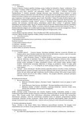 Pilnas pasiruošimas lietuvių kalbos egzaminui 16 puslapis