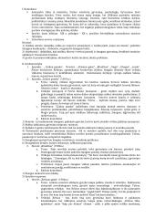 Pilnas pasiruošimas lietuvių kalbos egzaminui 20 puslapis