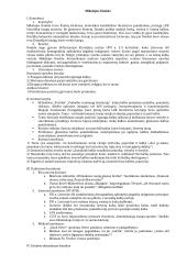 Pilnas pasiruošimas lietuvių kalbos egzaminui 3 puslapis