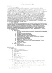 Pilnas pasiruošimas lietuvių kalbos egzaminui 5 puslapis