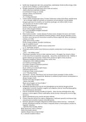 Pilnas pasiruošimas lietuvių kalbos egzaminui 6 puslapis