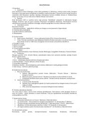 Pilnas pasiruošimas lietuvių kalbos egzaminui 8 puslapis