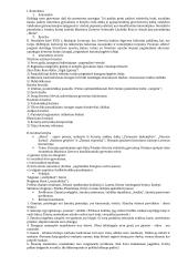 Pilnas pasiruošimas lietuvių kalbos egzaminui 10 puslapis