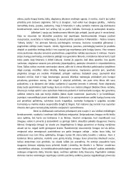 Individo ir bendruomenės santykis XX a. 2 puslapis