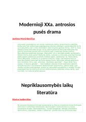 Pastraipų pavyzdžiai skirtingoms temoms ir autoriams 13 puslapis