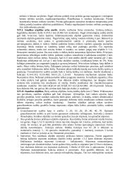 Statybinės medžiagos - teorija egzaminui 13 puslapis