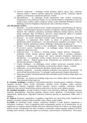 Statybinės medžiagos - teorija egzaminui 3 puslapis