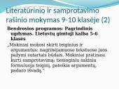 Literatūrinis ir samprotavimo rašinys 10 puslapis